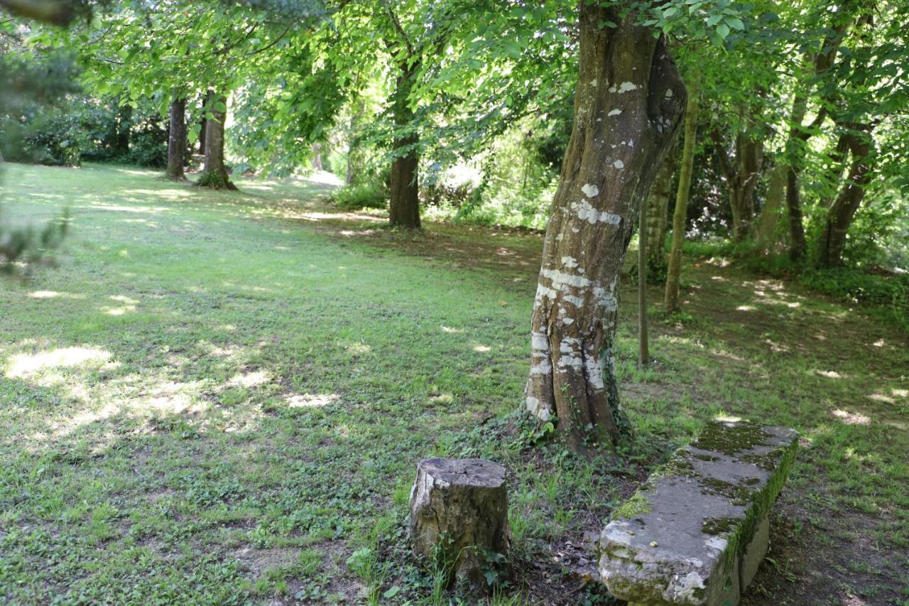 Domaine De Pouroutounat Mirepoix  Zewnętrze zdjęcie